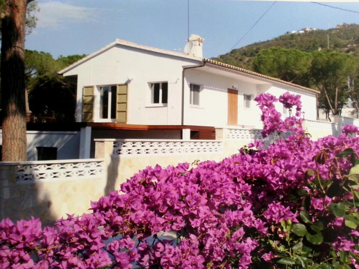 Villa Felices Juntos Platja d'Aro Kültér fotó